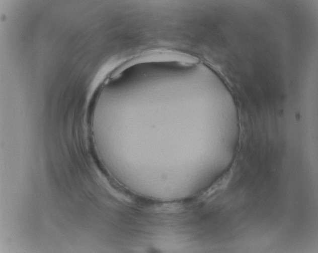 X0000075890102200610151801