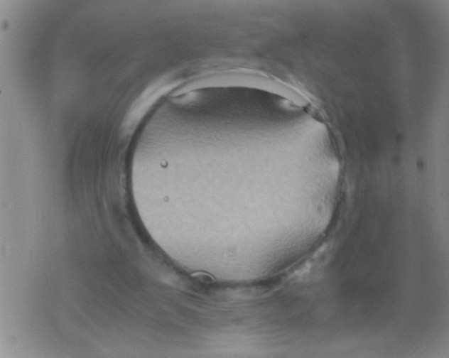 X0000075890103200610151801