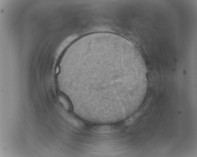 X0000075890104200610151801