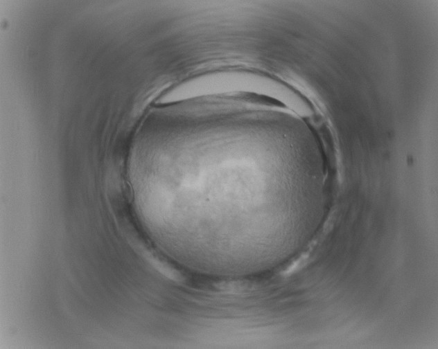 X0000075890105200610151801