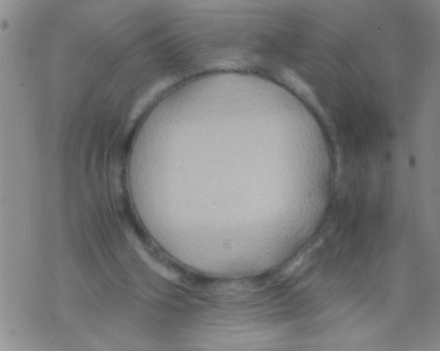 X0000075890106200610151801