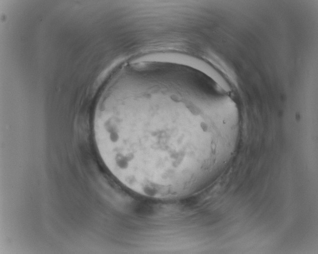 X0000075890107200610151801