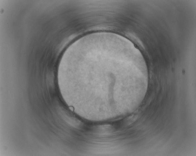 X0000075890108200610151801