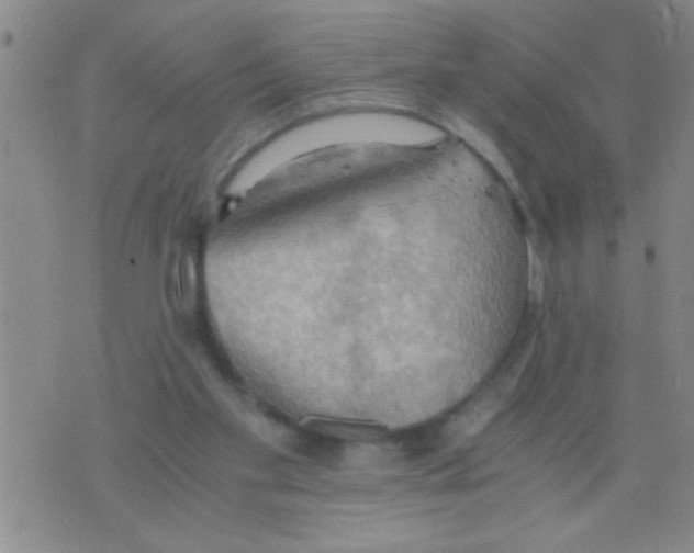 X0000075890109200610151801