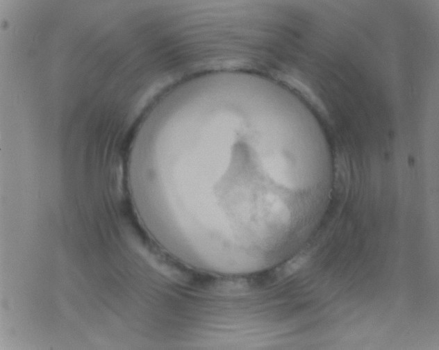 X0000075890110200610151801