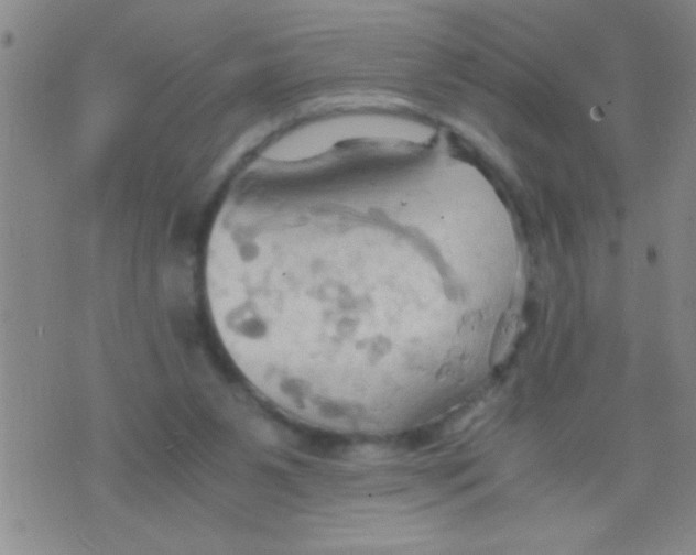 X0000075890111200610151801