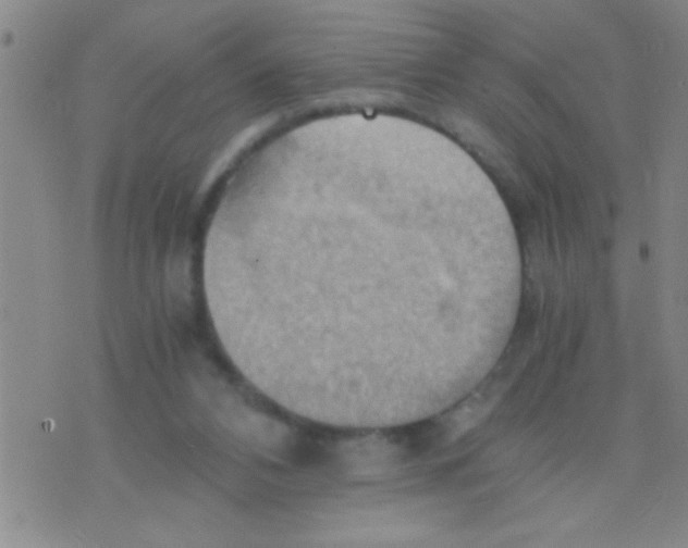 X0000075890112200610151801