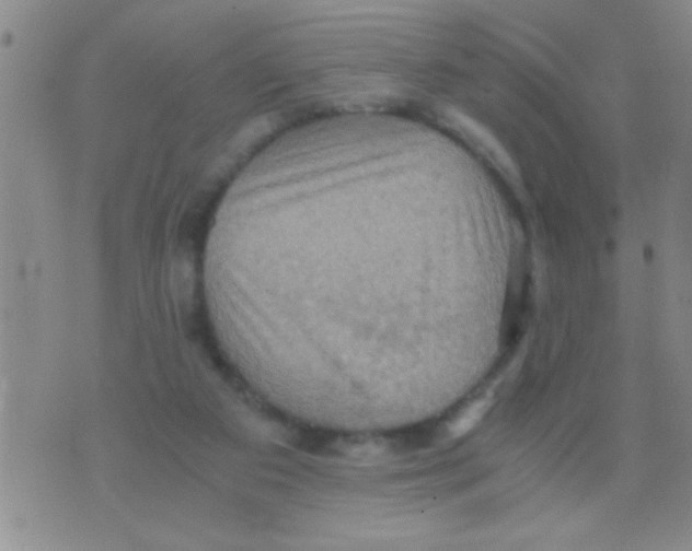 X0000075890113200610151801