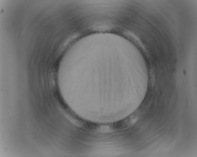 X0000075890114200610151801