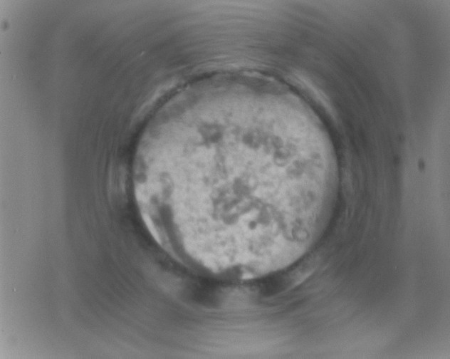 X0000075890115200610151801