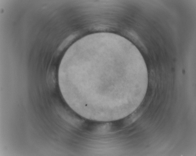 X0000075890116200610151801