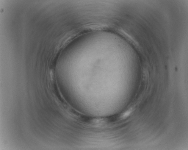 X0000075890117200610151801