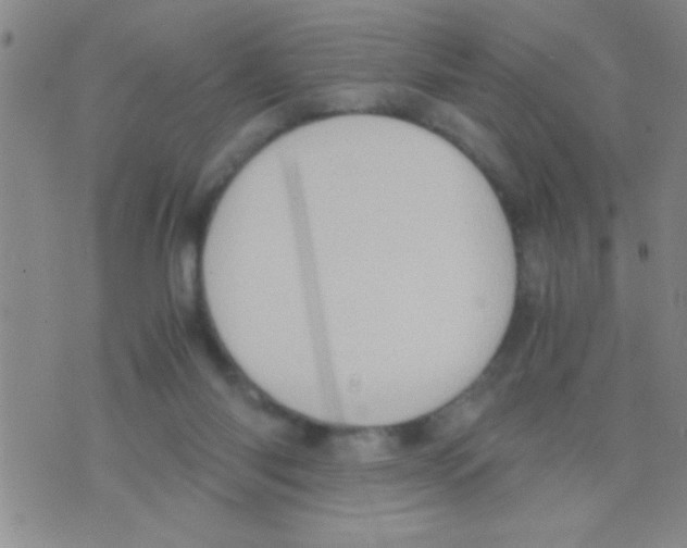 X0000075890118200610151801