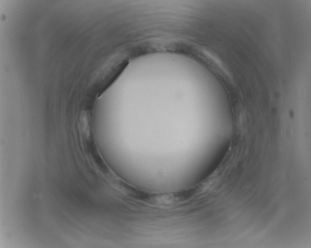 X0000075890121200610151801