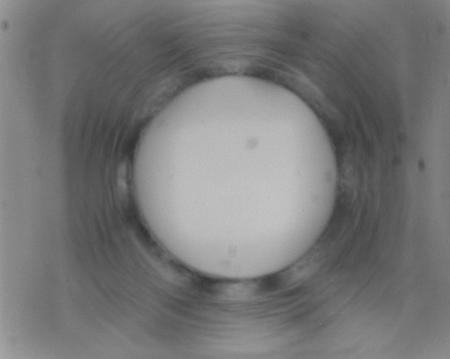 X0000075890122200610151801