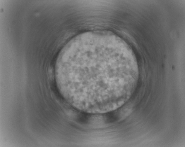 X0000075890123200610151801