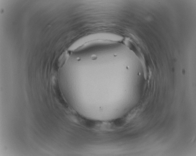 X0000075890125200610151801