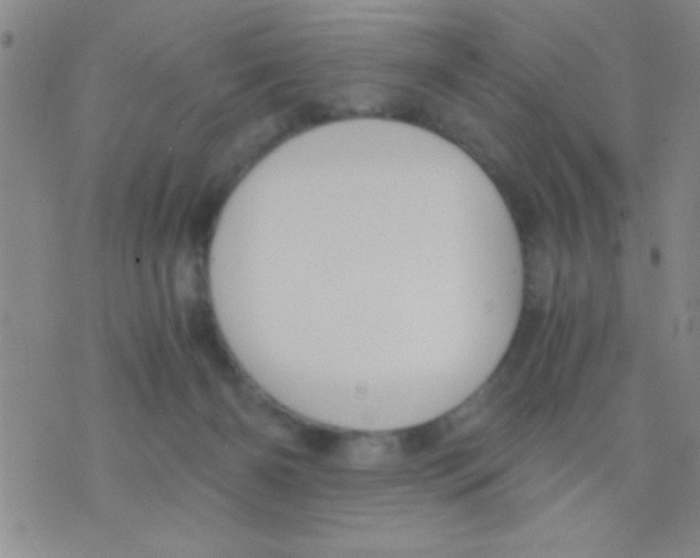 X0000075890126200610151801