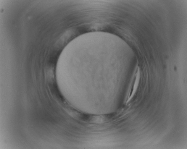 X0000075890127200610151801