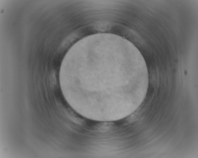 X0000075890128200610151801