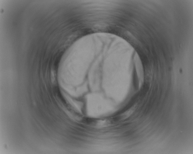 X0000075890130200610151801