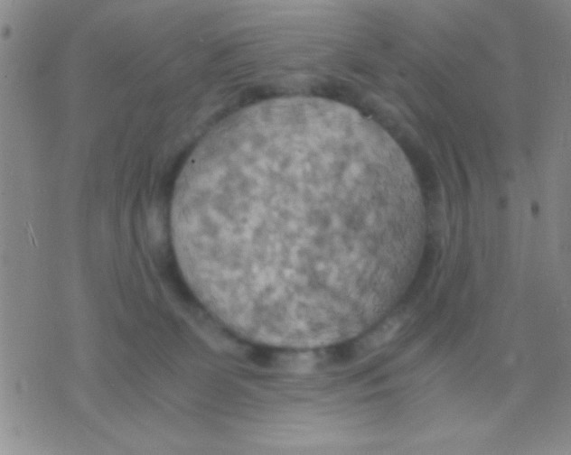 X0000075890131200610151801