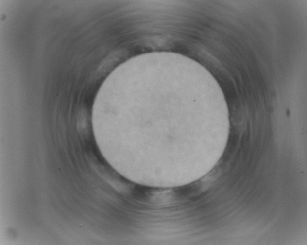 X0000075890132200610151801