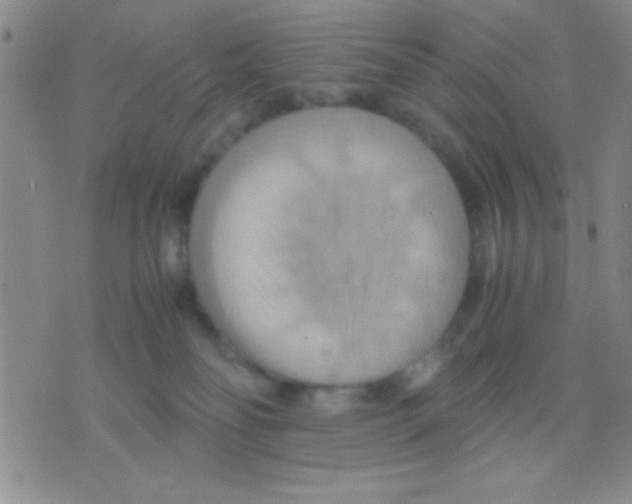 X0000075890134200610151801