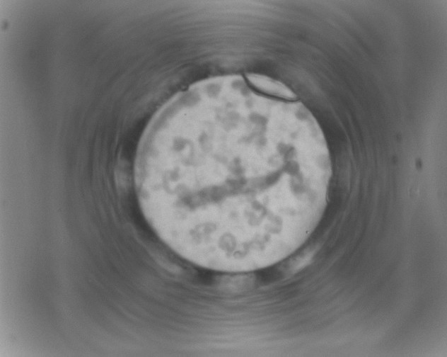 X0000075890135200610151801