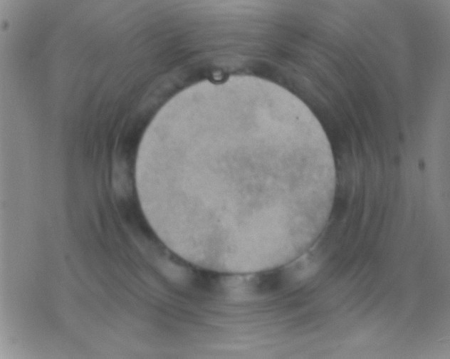 X0000075890136200610151800