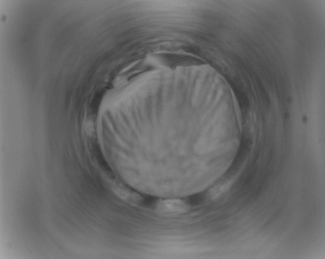 X0000075890137200610151800