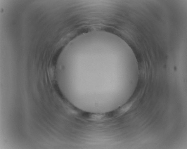 X0000075890139200610151800