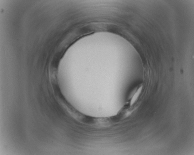 X0000075890141200610151800