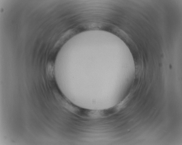 X0000075890142200610151800