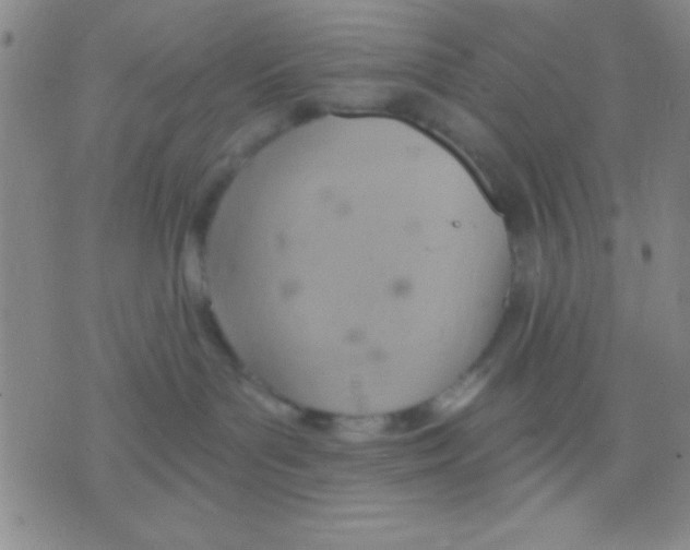 X0000075890143200610151800