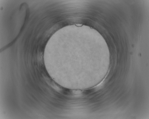 X0000075890144200610151800