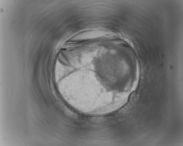 X0000075890145200610151800