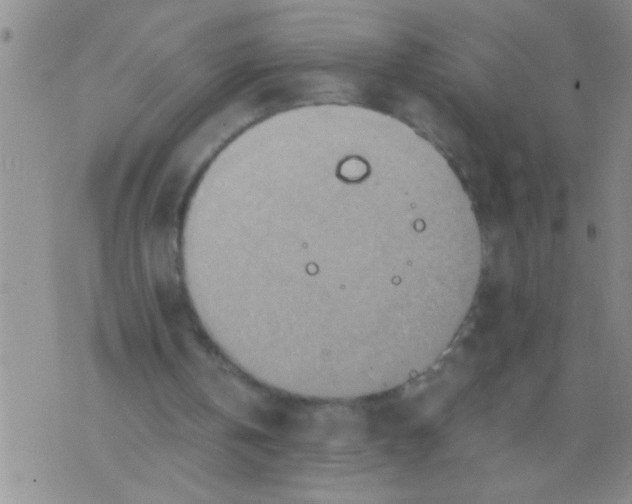 X0000075890146200610151800