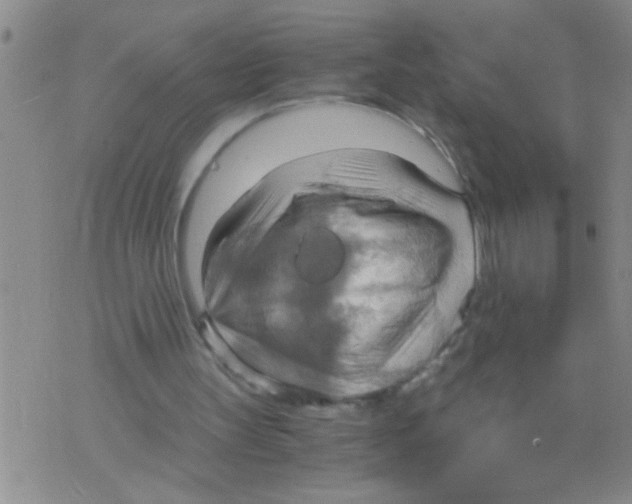 X0000075890147200610151800