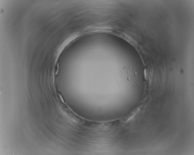 X0000075890148200610151800