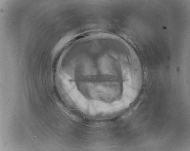 X0000075890149200610151800