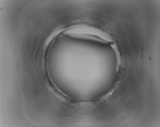 X0000075890150200610151800