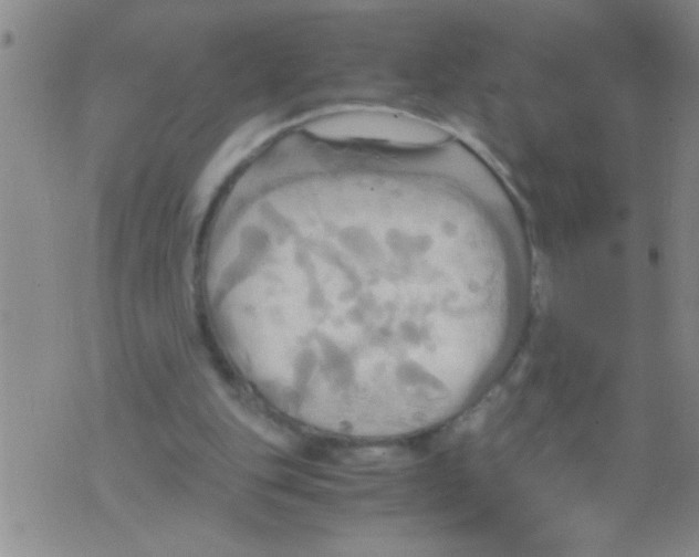 X0000075890151200610151800