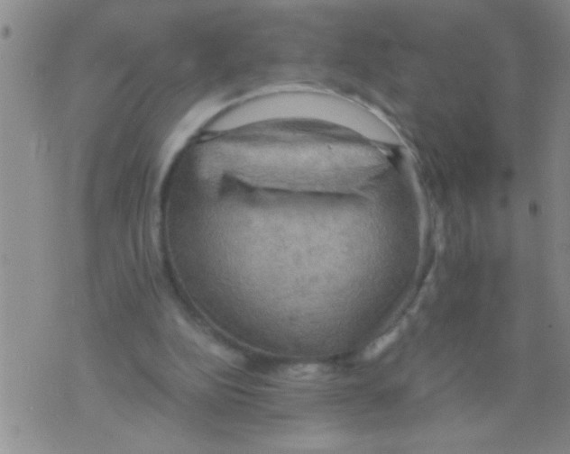 X0000075890152200610151800