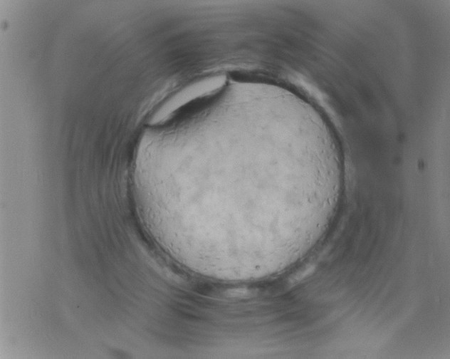 X0000075890153200610151800