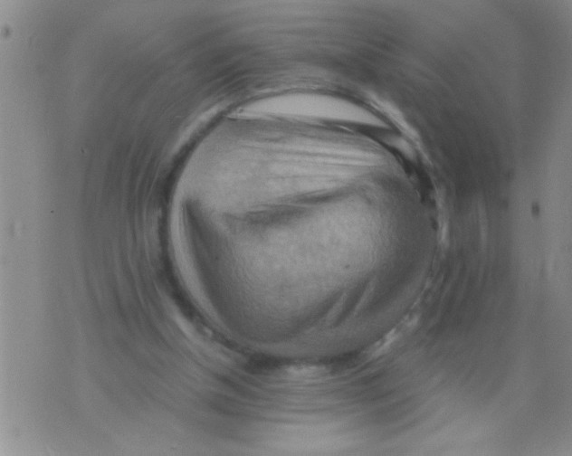 X0000075890154200610151800