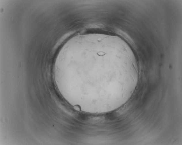 X0000075890155200610151800