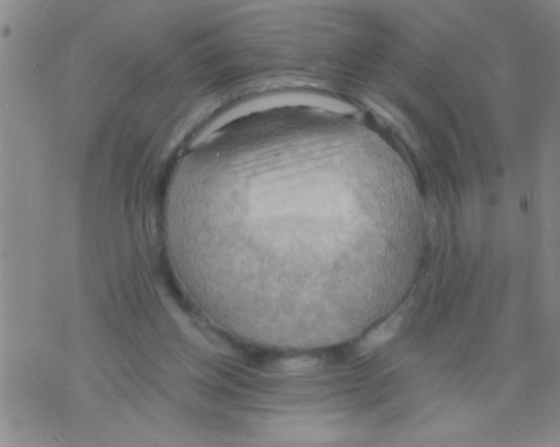 X0000075890158200610151800