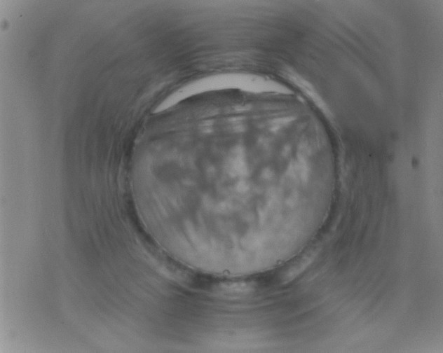 X0000075890161200610151800