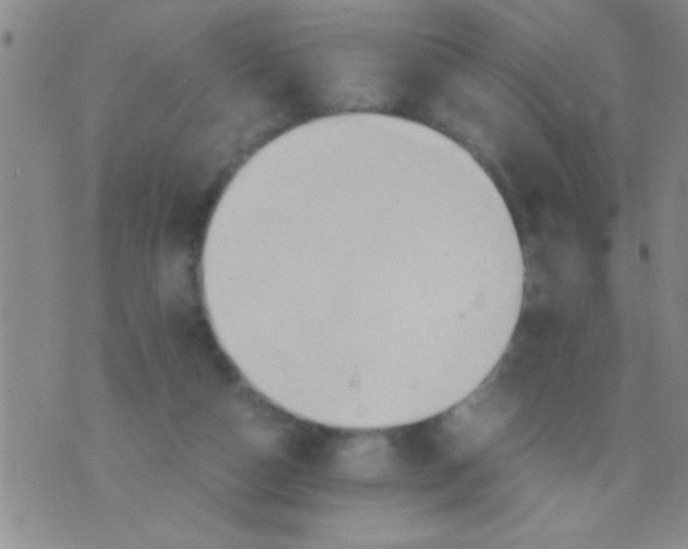 X0000075890162200610151800